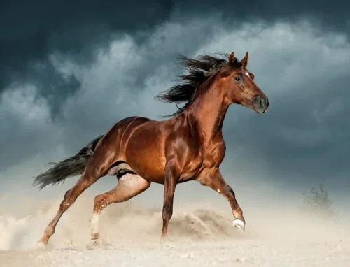 1363f7dc5a45bd460aa0d22489b87f638887e70d