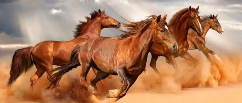 15e9833d21dd193de01dc4f600dc2cc02d8d738a