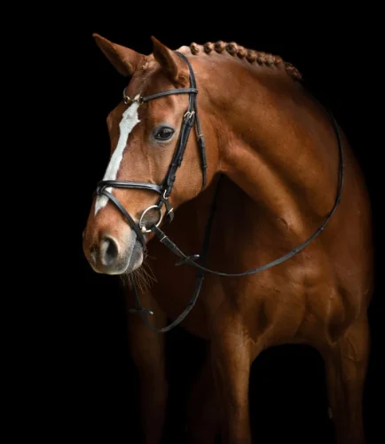 aaaba25d1ce1059ef06458d1fdfc33ca07ef9867